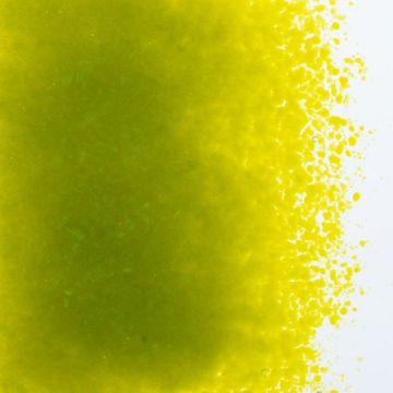 0222 avocado green  fine