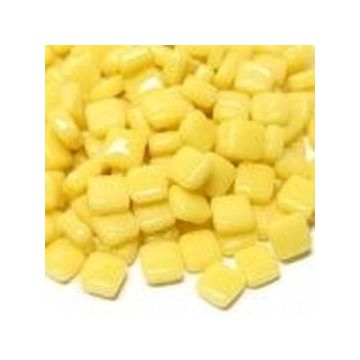 25 gram Corn Yellow 31 