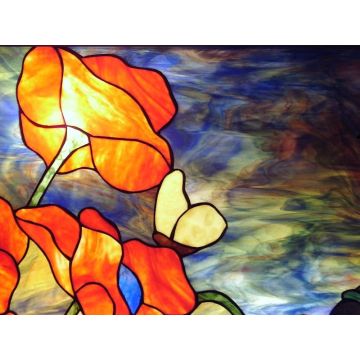 cadeaubon 50 euro