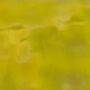 7041m yellow iridisent 