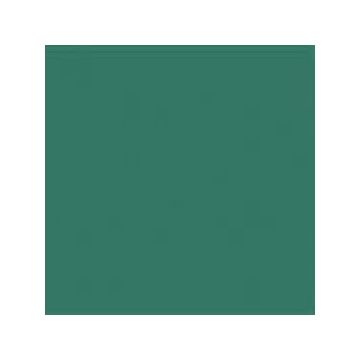 16930 accent groen 33 