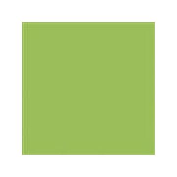 17900 macaw green 35 