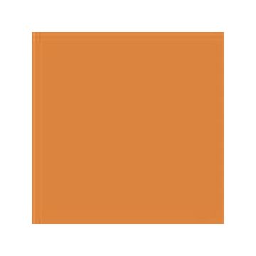 17940 flame oranje 13 