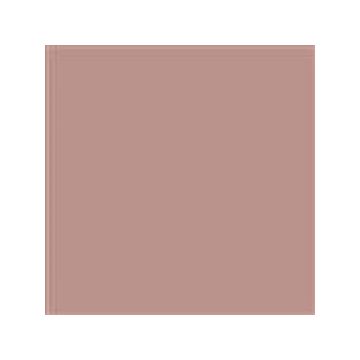 18980 seashell pink 41 
