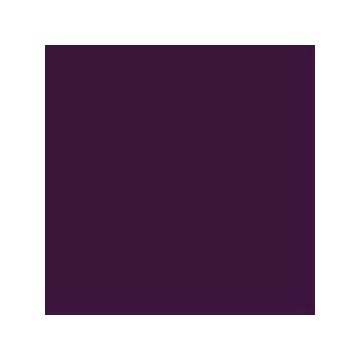 20930 eggplant 38 