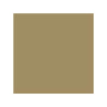 20950 medal bronze 89 