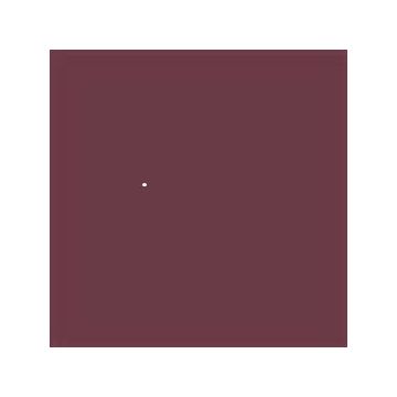 20970 burgundy 45 