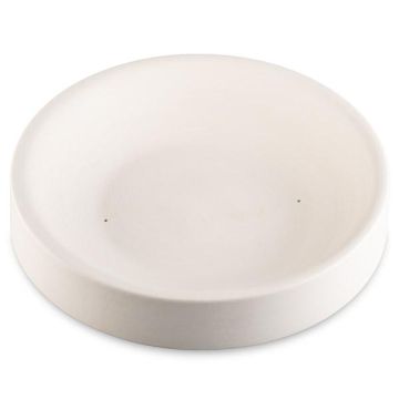 soup plate 22
