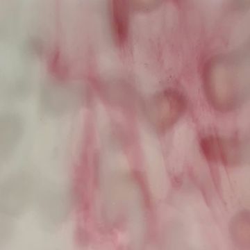 1007M opal white pink 