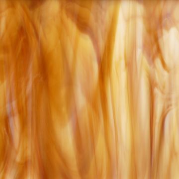 317-2f caramel/white.