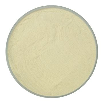 96-12 Cinnamon Transp p