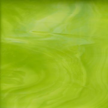 826-71f lime green/white. 