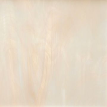 891-81f champagne 