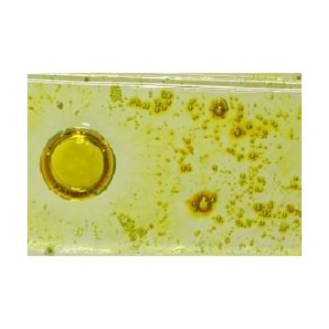 51 bellenpoeder yellow