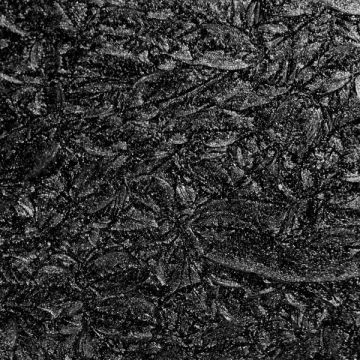 Black Sparkle van Gogh 