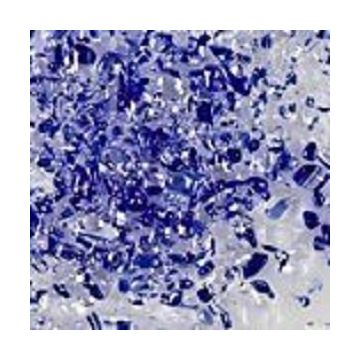 F2 4240-96sf cobalt/clear