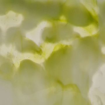4017m   white yellow clear semi-transp. 