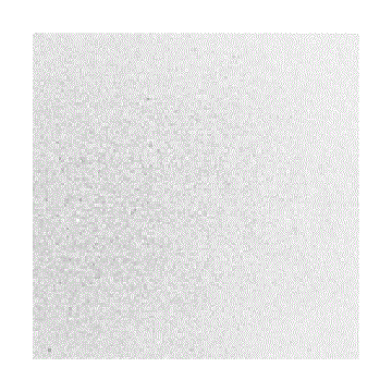 F1  00-96sf clear transparent