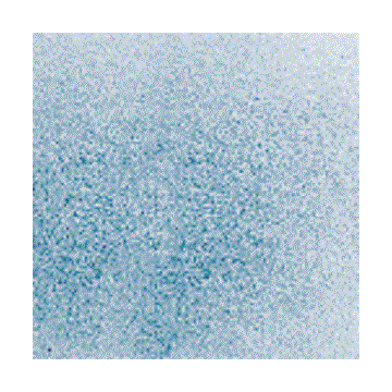 F1 078-96 Paynes Gray Opal 