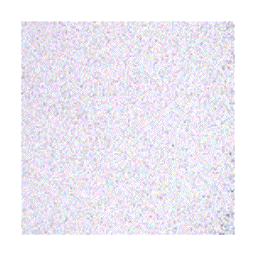 F1 142-96sf light purple transparent