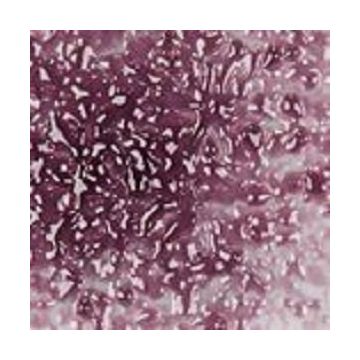 F2 5432-96sf grape transparent