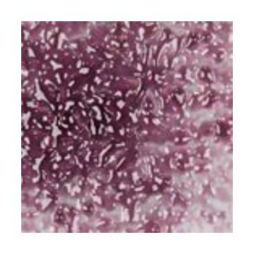 F2 5342-96sf violet transparent