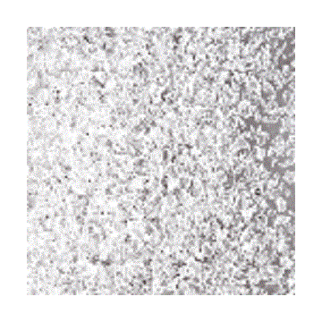 F3  00-96sf clear
