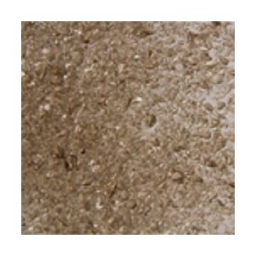 F3 5181-96sf bronze  transparent