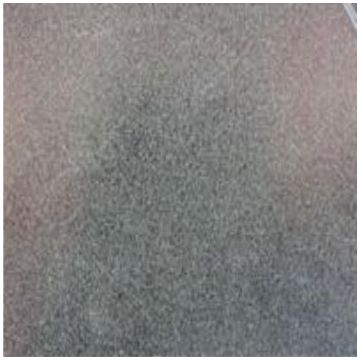 Pre polish disc  220 grit blue