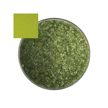 1207 Fern Green medium 