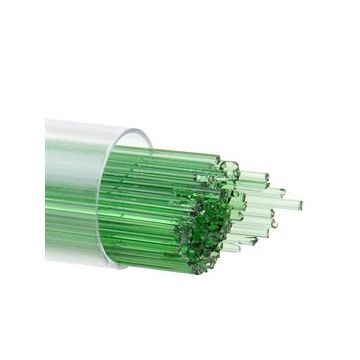 1 Light Green 1107