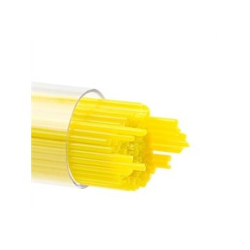 1 Sunflower Yellow 0220