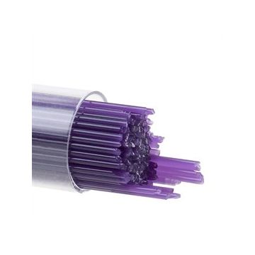 1 Gold Purple  0334