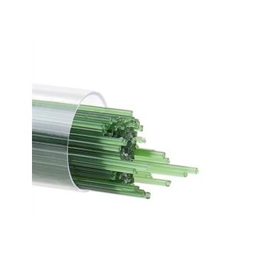 1 Dark Forest Green 0141