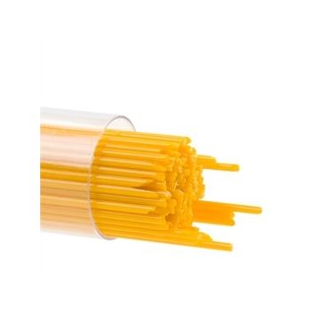 1 Pumpkin Orange 0321