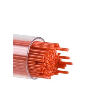 1 Tomato Red 0024