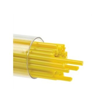2 Sunflower Yellow 0220