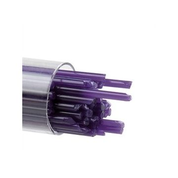 2 Gold Purple 0334