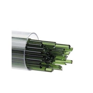 2 Olive Green Transparent 1141
