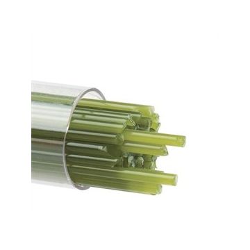 2 Olive Green 0212