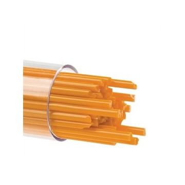 2 Pumpkin Orange 0321