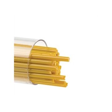 2 Butterscotch 0337