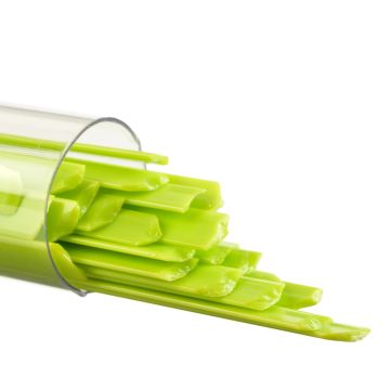0126 Spring Green 