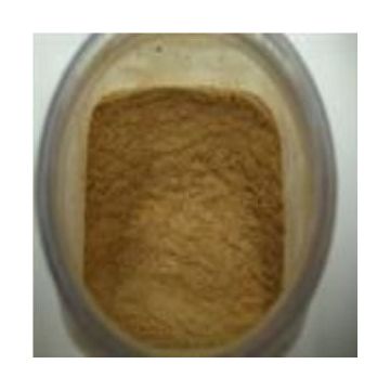 hot pigment gold 50 gr