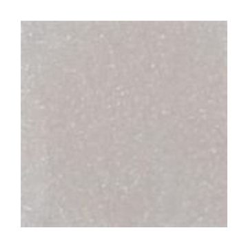 Mica Poeder 50g silver 