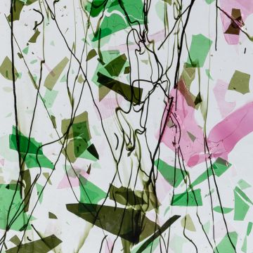 4329-00 Clear with Confetti Freen/pink
