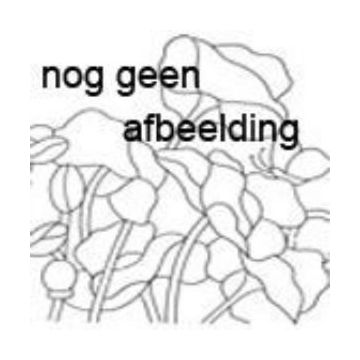 warmhoudmat glassverffusing
