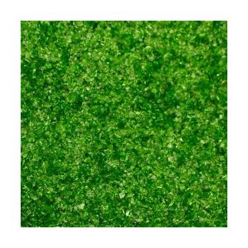 96-320 Parsley /peterselie transp