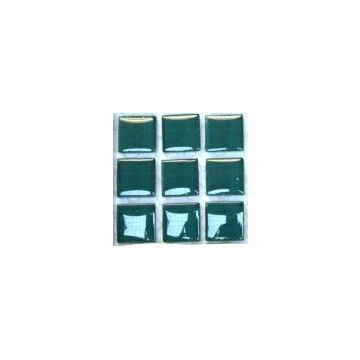 Seaweed 20