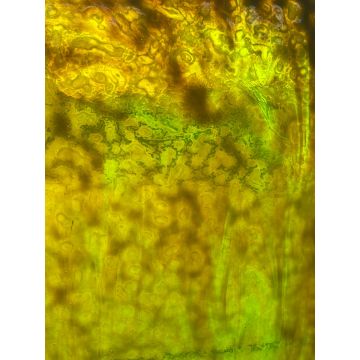 Advocado yellow/green mottle  30x30cm